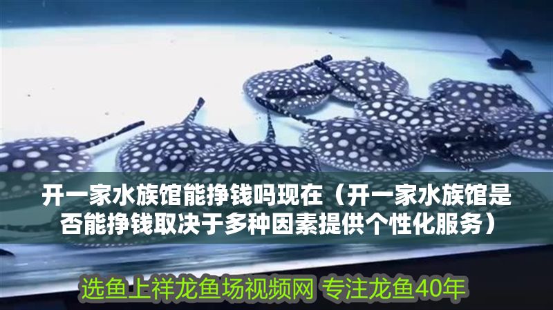 開一家水族館能掙錢嗎現在（開一家水族館是否能掙錢取決于多種因素提供個性化服務）