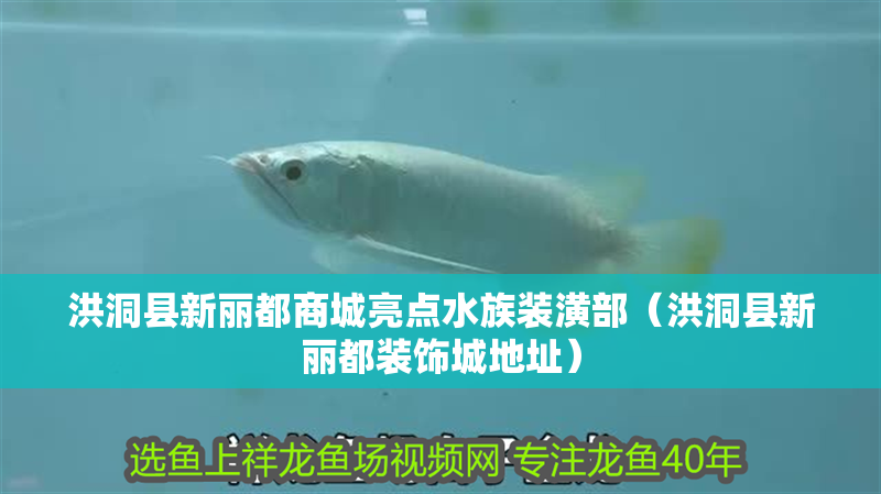洪洞縣新麗都商城亮點(diǎn)水族裝潢部（洪洞縣新麗都裝飾城地址）