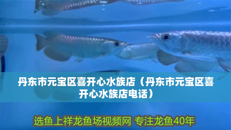 丹東市元寶區喜開心水族店（丹東市元寶區喜開心水族店電話）