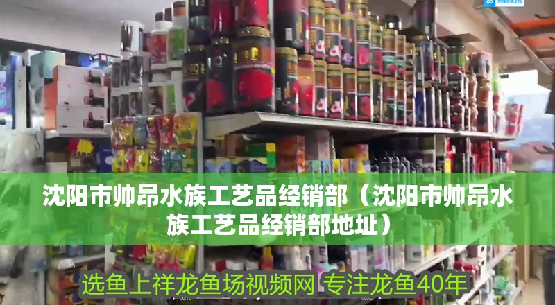 沈陽市帥昂水族工藝品經銷部（沈陽市帥昂水族工藝品經銷部地址）