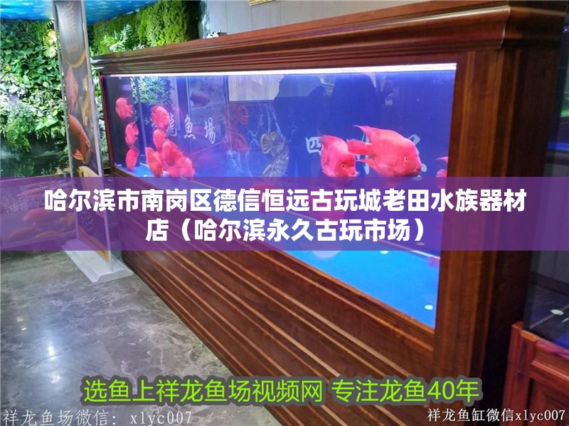 哈爾濱市南崗區德信恒遠古玩城老田水族器材店（哈爾濱永久古玩市場）