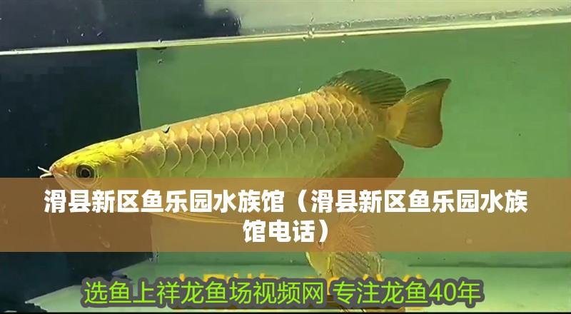 滑縣新區魚樂園水族館（滑縣新區魚樂園水族館電話）