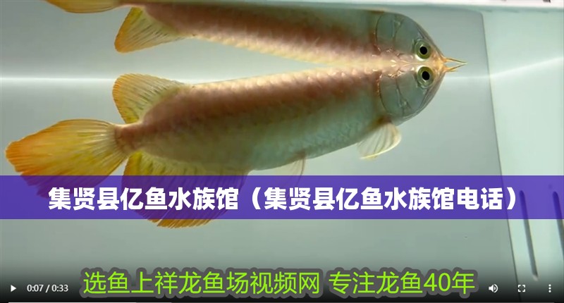 集賢縣億魚水族館（集賢縣億魚水族館電話） 集賢縣億魚水族館（集賢縣億魚水族館電話） 全國水族館企業名錄 第2張
