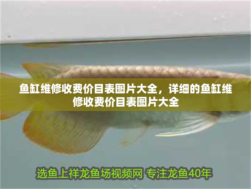 魚缸維修收費價目表圖片大全，詳細的魚缸維修收費價目表圖片大全