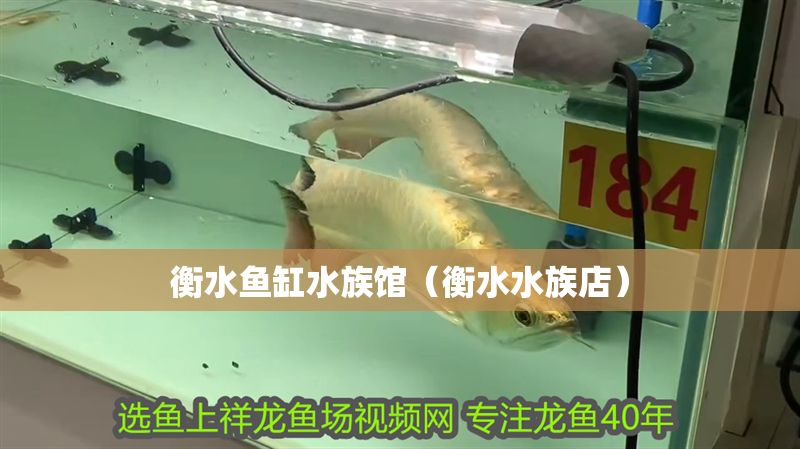 衡水魚缸水族館（衡水水族店）