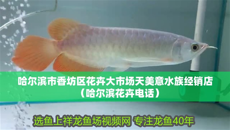哈爾濱市香坊區花卉大市場天美意水族經銷店（哈爾濱花卉電話）