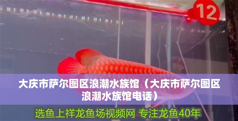 大慶市薩爾圖區(qū)浪潮水族館（大慶市薩爾圖區(qū)浪潮水族館電話）