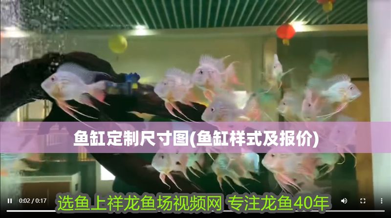 魚缸定制尺寸圖(魚缸樣式及報價)