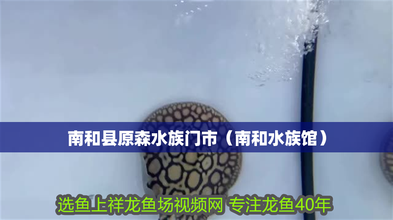 南和縣原森水族門市（南和水族館）