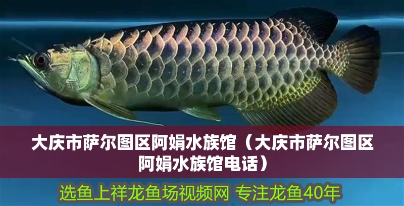 大慶市薩爾圖區(qū)阿娟水族館（大慶市薩爾圖區(qū)阿娟水族館電話）