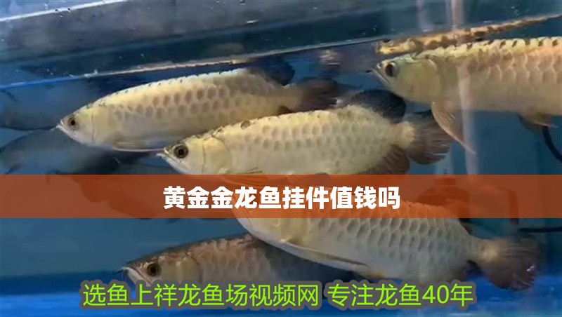 黃金金龍魚掛件值錢嗎