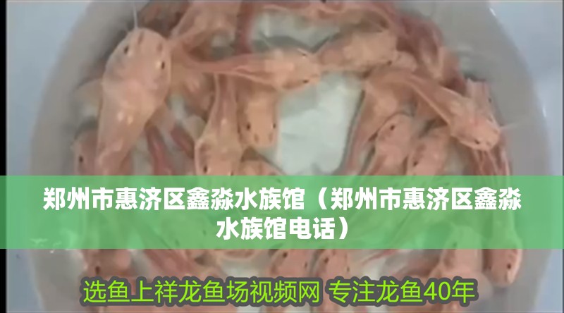 鄭州市惠濟區鑫淼水族館（鄭州市惠濟區鑫淼水族館電話）