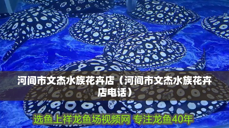 河間市文杰水族花卉店（河間市文杰水族花卉店電話）