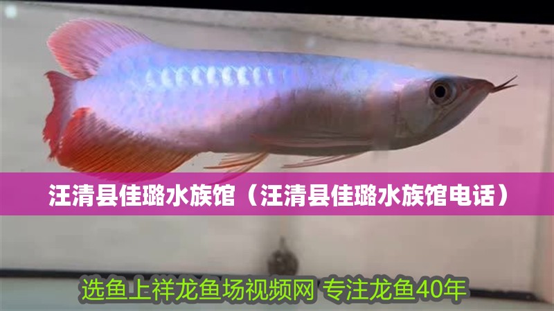汪清縣佳璐水族館(汪清縣佳璐水族館電話) 全國水族館企業名錄 第2張 汪清縣佳璐水族館(汪清縣佳璐水族館電話) 汪清縣佳璐水族館(汪清縣佳璐水族館電話) 全國水族館企業名錄 第2張