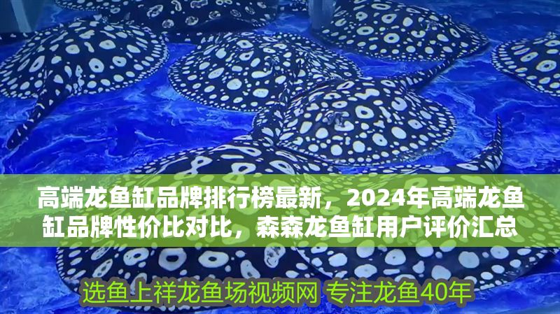 高端龍魚缸品牌排行榜最新，2024年高端龍魚缸品牌性價比對比，森森龍魚缸用戶評價匯總