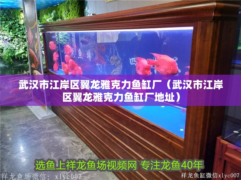 武漢市江岸區(qū)翼龍雅克力魚缸廠（武漢市江岸區(qū)翼龍雅克力魚缸廠地址）