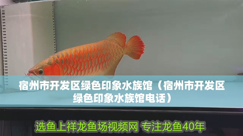 宿州市開發區綠色印象水族館（宿州市開發區綠色印象水族館電話）