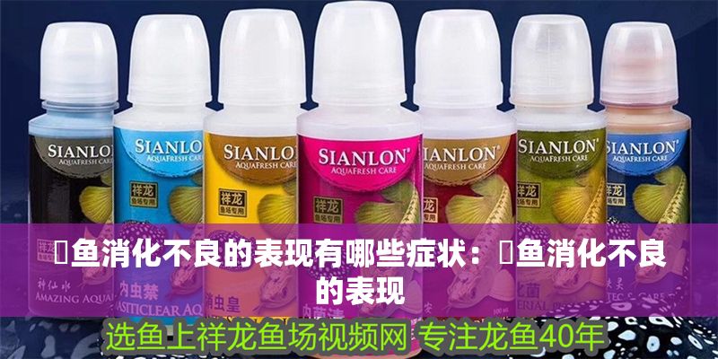 魟魚消化不良的表現有哪些癥狀：魟魚消化不良的表現