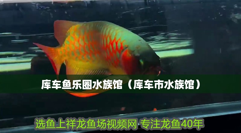 庫車魚樂圈水族館（庫車市水族館） 庫車魚樂圈水族館（庫車市水族館） 全國水族館企業名錄 第2張