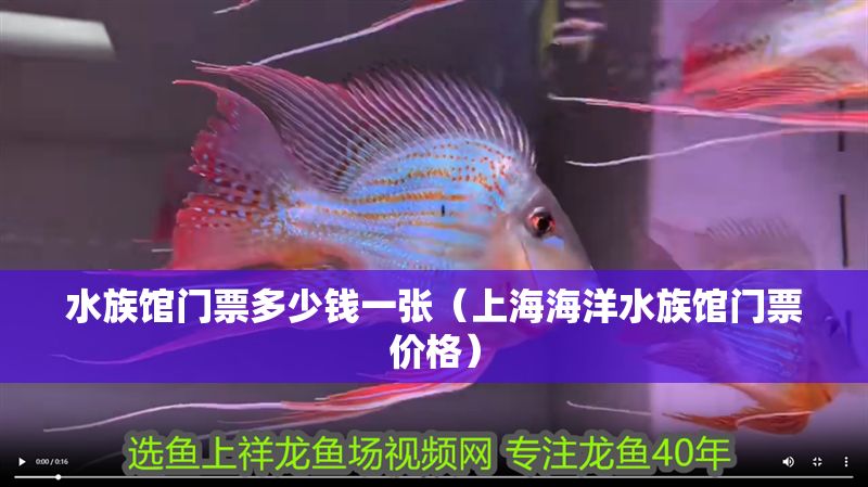 水族館門票多少錢一張（上海海洋水族館門票價格）