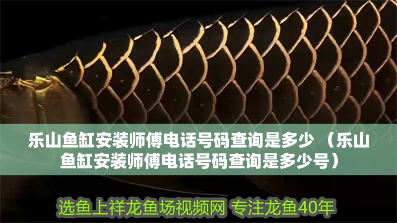 樂山魚缸安裝師傅電話號(hào)碼查詢是多少 （樂山魚缸安裝師傅電話號(hào)碼查詢是多少號(hào)）