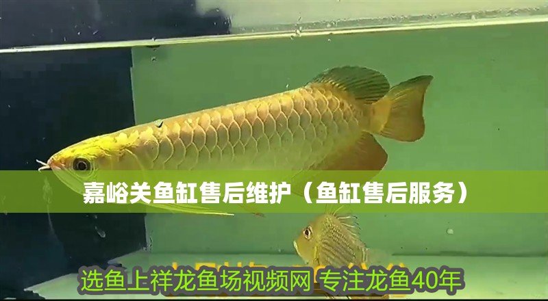 嘉峪關魚缸售后維護（魚缸售后服務）