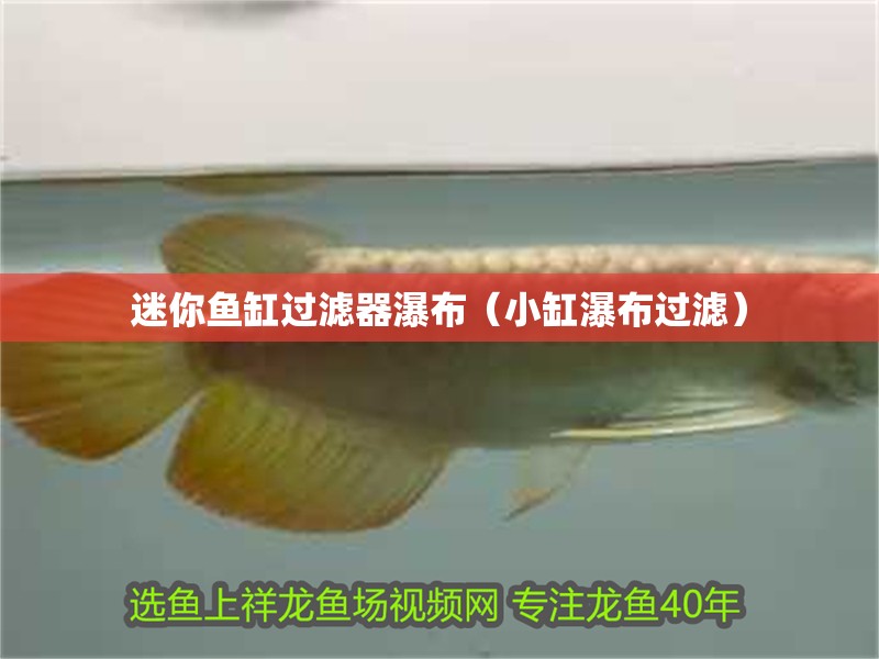魚缸過濾器選購指南:自制魚缸過濾器魚缸上置過濾器對于養魚愛好者的必備知識 迷你魚缸過濾器瀑布(小缸瀑布過濾) 豬鼻龜百科 迷你魚缸過濾器瀑布(小缸瀑布過濾) 迷你魚缸過濾器瀑布(小缸瀑布過濾) 豬鼻龜百科