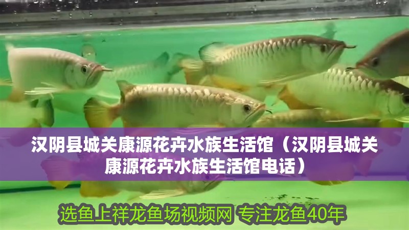 漢陰縣城關康源花卉水族生活館（漢陰縣城關康源花卉水族生活館電話）