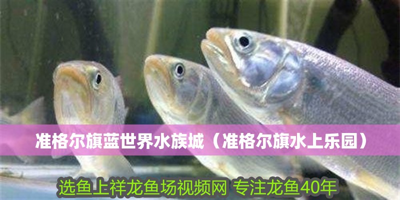 準格爾旗藍世界水族城（準格爾旗水上樂園）