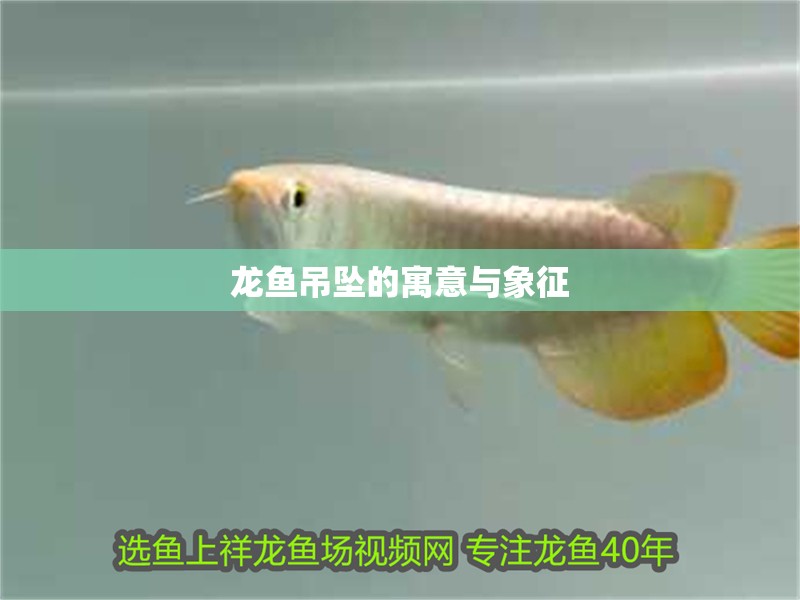 龍魚吊墜的寓意與象征