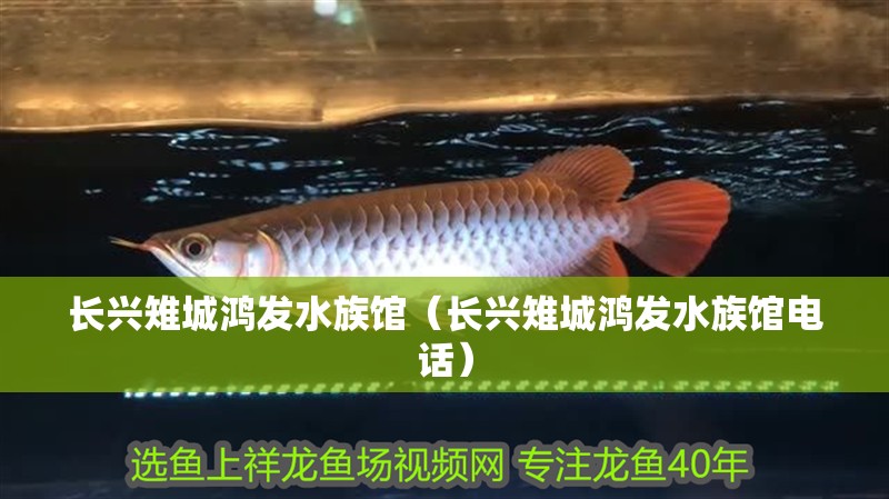 長興雉城鴻發水族館（長興雉城鴻發水族館電話）