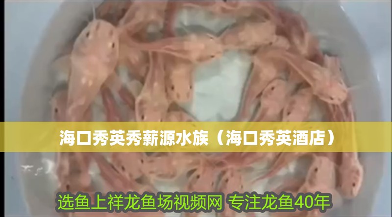 海口秀英秀薪源水族（海口秀英酒店）