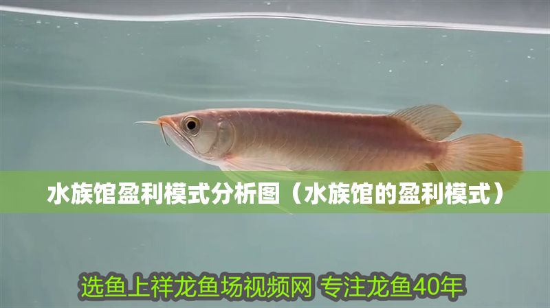水族館盈利模式分析圖（水族館的盈利模式）
