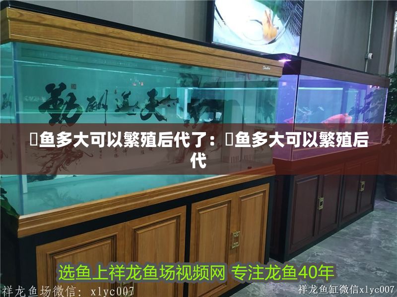 魟魚多大可以繁殖后代了：魟魚多大可以繁殖后代