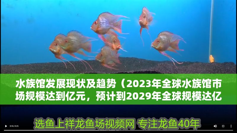 水族館發展現狀及趨勢（2023年全球水族館市場規模達到億元，預計到2029年全球規模達億元）