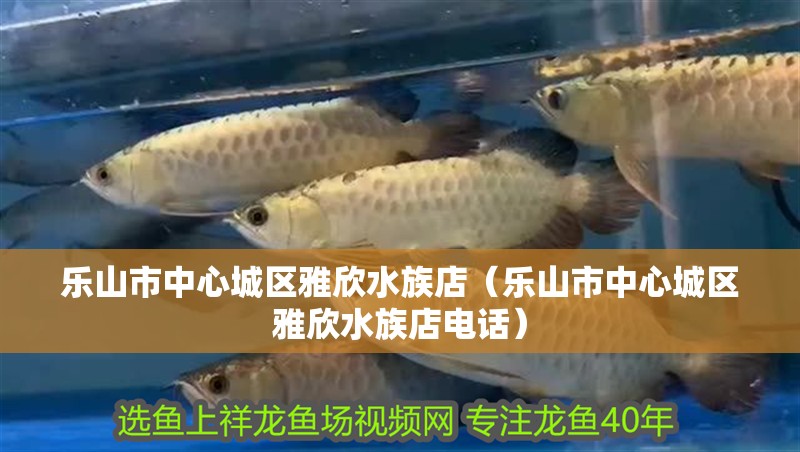 樂山市中心城區雅欣水族店（樂山市中心城區雅欣水族店電話）