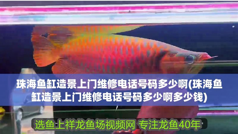 珠海魚缸造景上門維修電話號碼多少啊(珠海魚缸造景上門維修電話號碼多少啊多少錢)