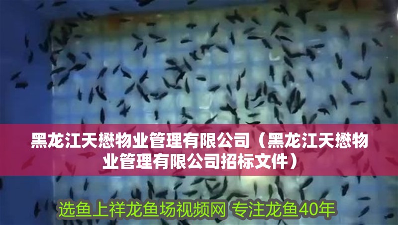 黑龍江天懋物業管理有限公司（黑龍江天懋物業管理有限公司招標文件）