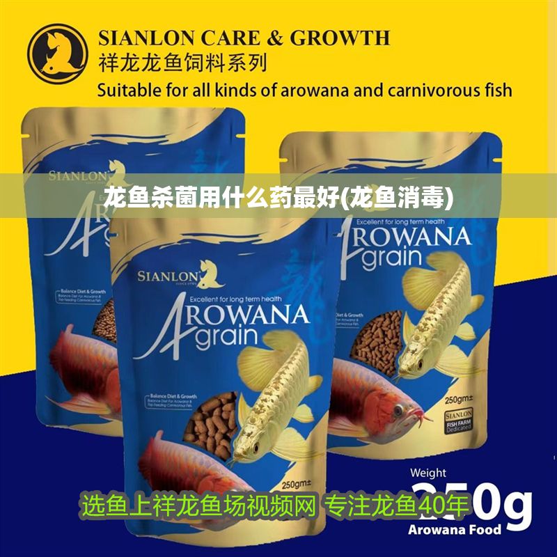 龍魚殺菌用什么藥最好(龍魚消毒)