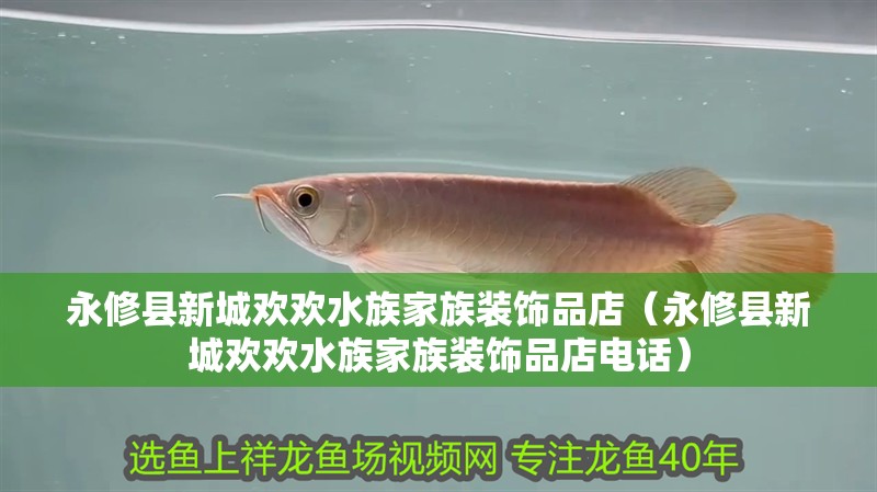 永修縣新城歡歡水族家族裝飾品店（永修縣新城歡歡水族家族裝飾品店電話）