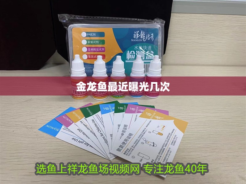 金龍魚最近曝光幾次