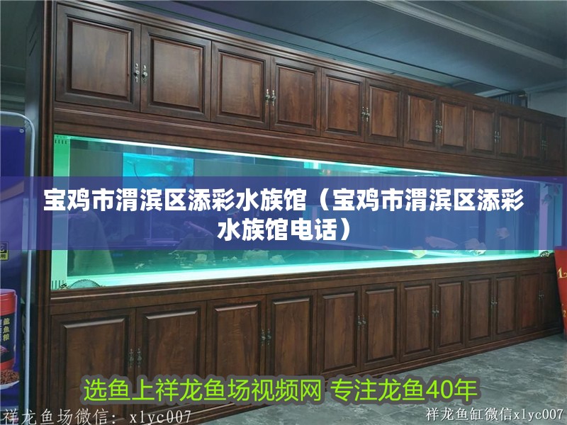 寶雞市渭濱區添彩水族館（寶雞市渭濱區添彩水族館電話）