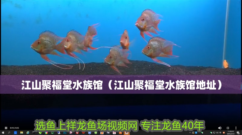 江山聚福堂水族館（江山聚福堂水族館地址）