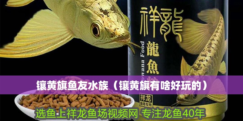 鑲黃旗魚友水族（鑲黃旗有啥好玩的）