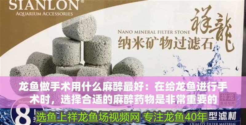 龍魚做手術(shù)用什么麻醉最好：在給龍魚進行手術(shù)時，選擇合適的麻醉藥物是非常重要的