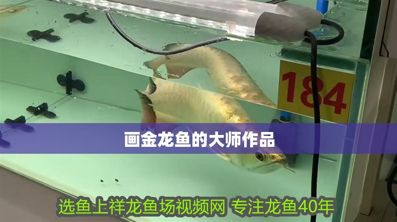 畫金龍魚的大師作品