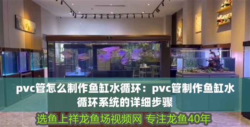 pvc管怎么制作魚缸水循環：pvc管制作魚缸水循環系統的詳細步驟