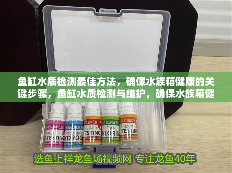 魚缸水質檢測最佳方法，確保水族箱健康的關鍵步驟，魚缸水質檢測與維護，確保水族箱健康的完整指南