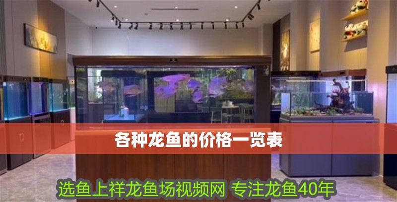 各種龍魚的價格一覽表