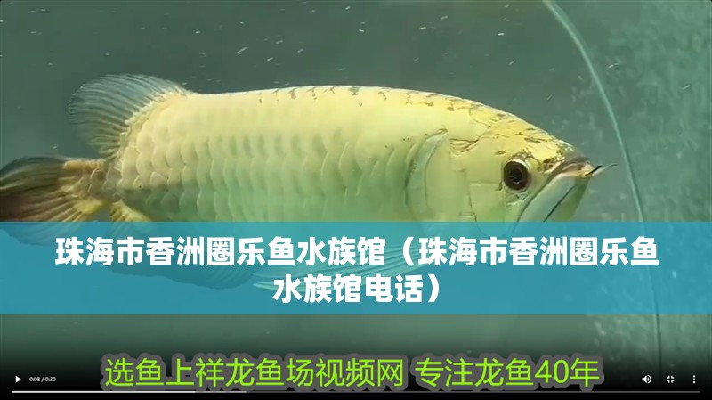 珠海市香洲圈樂(lè)魚(yú)水族館（珠海市香洲圈樂(lè)魚(yú)水族館電話）